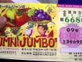 Продажа лотерейных билетов онлайн начнется в Японии в октябре