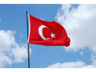 Scientific Games заявила о приеме ставок на спорт в Турции