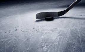 Букмекер bwin стал официальным партнером турнира Sochi Hockey Open