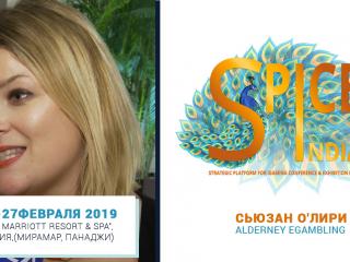 За 5 дней до старта SPiCE 2019: интервью с экспертом