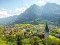 Сбор подписей за запрет казино начнут в Лихтенштейне