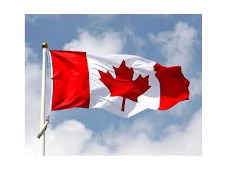 Ставки-одинары предложено легализовать в Канаде