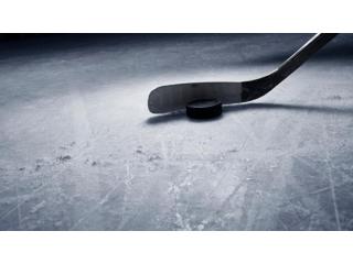Украинская хоккейная федерация попросила IIHF поддержать санкции к организаторам договорного матча