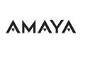 Amaya Gaming меняет название и переезжает в Торонто