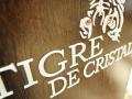 План строительства второй очереди казино Tigre de Cristal представят летом 2018 года