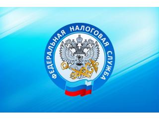 ФНС обязали публиковать в интернете перечень организаторов нелегальных казино