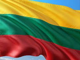 Доход Литвы от онлайн-гемблинга достиг 17,5 млн евро в первом полугодии 2019 года