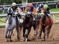 Тотализатор на конные скачки запустят в Туркменистане