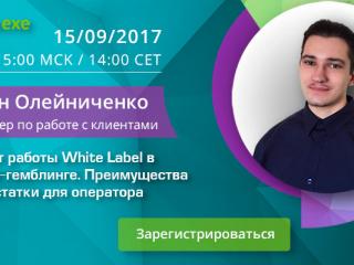 Компания CASEXE проведет вебинар на тему: «Казино под ключ» в сентябре