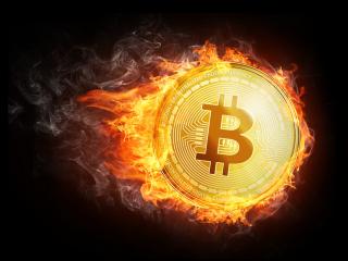Proof-of-burn: как получить прибыль от сжигания криптовалют