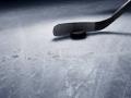 Букмекер bwin стал официальным партнером турнира Sochi Hockey Open